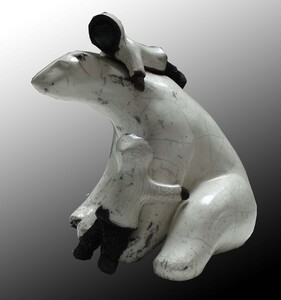 Ours blanc